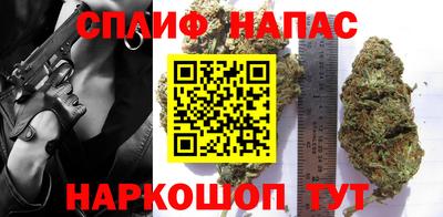 гидра Бузулук