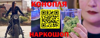 гидропоника Будённовск