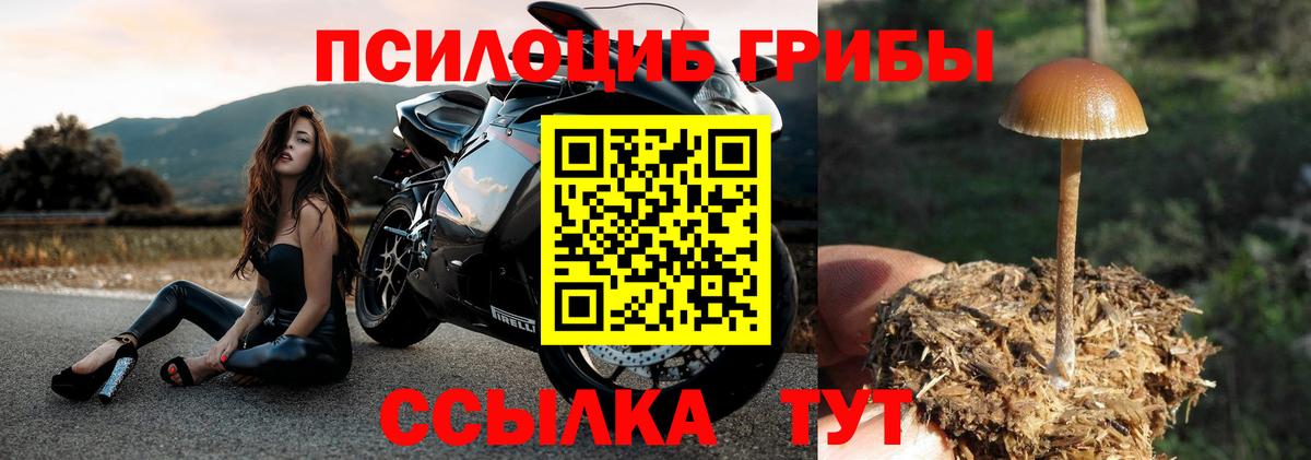 Салехард  Галлюциногенные грибы MAGIC MUSHROOMS  Вход с VPN 
